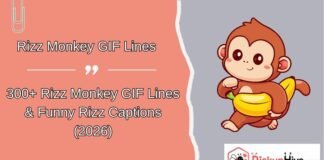 Rizz Monkey GIF Rizz Monkey GIF