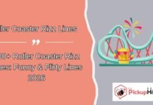 Roller Coaster Rizz Lines Roller Coaster Rizz Lines