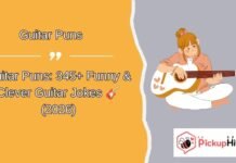 Guitar Puns Guitar Puns