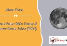 Moon Puns Moon Puns