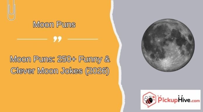 Moon Puns Moon Puns