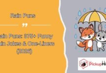 Rain Puns Rain Puns