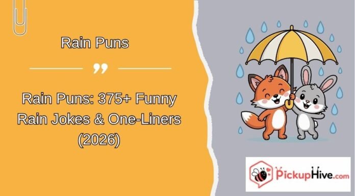 Rain Puns Rain Puns