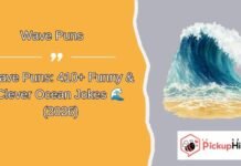 Wave Puns Wave Puns