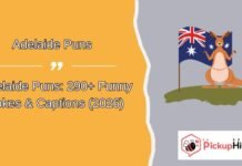 Adelaide Puns Adelaide Puns
