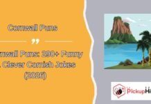 Cornwall Puns Cornwall Puns