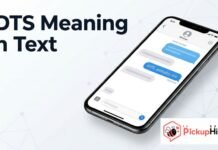 IDTS Meaning in Text IDTS Meaning in Text