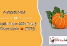 Pumpkin Puns Pumpkin Puns