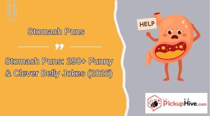 Stomach Puns Stomach Puns