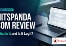 Hitspanda Com Review: What It Is and Is It Legit? Hitspanda Com
