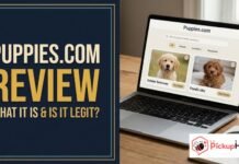 Puppies com Review: What It Is and Is It Legit? Puppies com