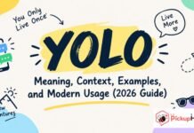 YOLO Meaning YOLO Meaning