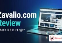 Zavalio Com Review: What It Is, Features, and Is It Legit? Zavalio Com